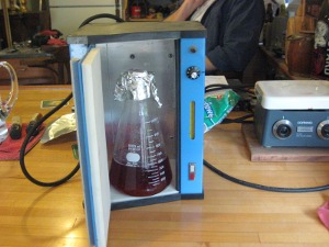 yeast starter in incubator
